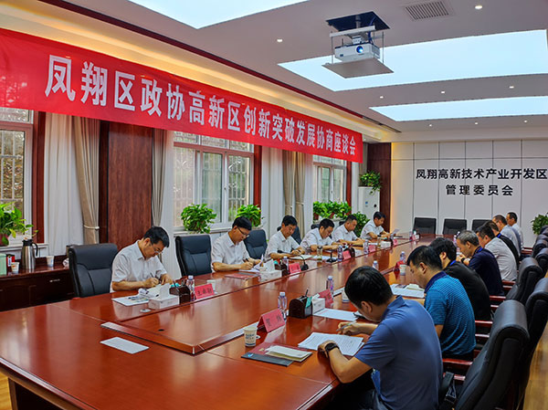 凤翔区政协：锻造创新“主引擎” 书写发展“新篇章”