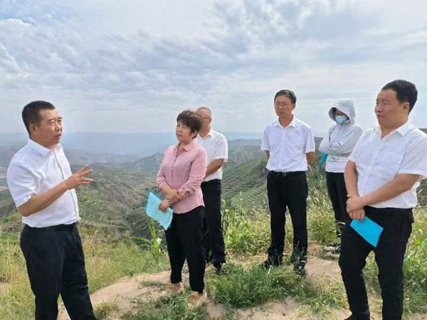 清涧县政协视察产业建设及发展情况