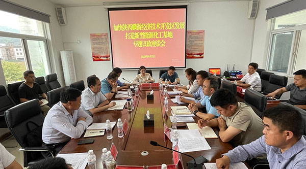 麟游县政协：助推新能源基地建设 加快产业结构转型升级