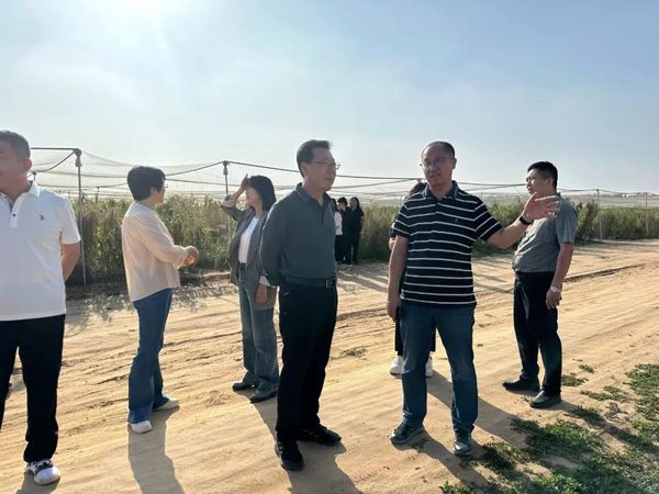  走到群众身边 走进群众心里 榆林市政协提案委开展“委员活动日”活动