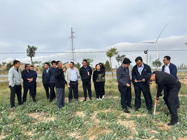 传承中医药精华 创新中医药发展——定边县政协专题调研中医药产业发展情况