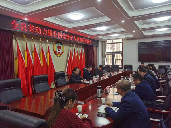 千阳县政协开展全县劳动力就业创业情况专题调研