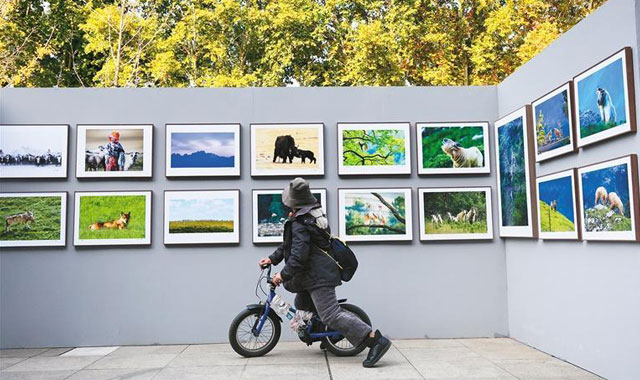 用镜头展现丝路之美