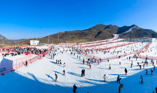 三秦大地奏响冰与雪之歌