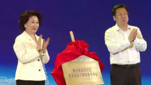 优秀作品奖：《为国履职、为民尽责 助力陕西经济高质量发展——省政协秦商总会委员工作室纪实》