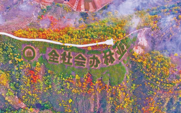 子洲县：守护绿水青山 绘就生态画卷
