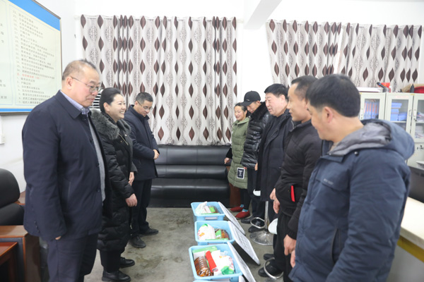 山阳县政协主席王昕深入板岩、高坝店等镇办开展春节前走访慰问活动