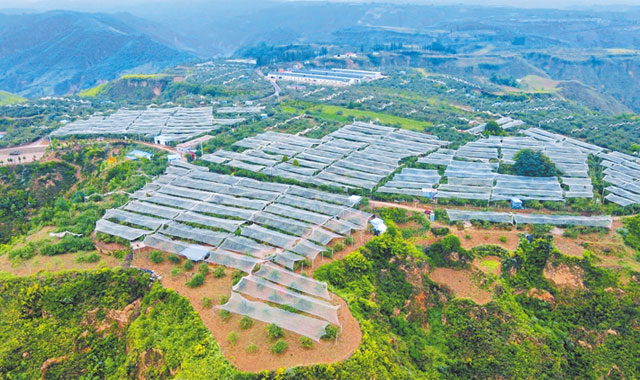 延川县梁家河村：在好时代 奔好日子