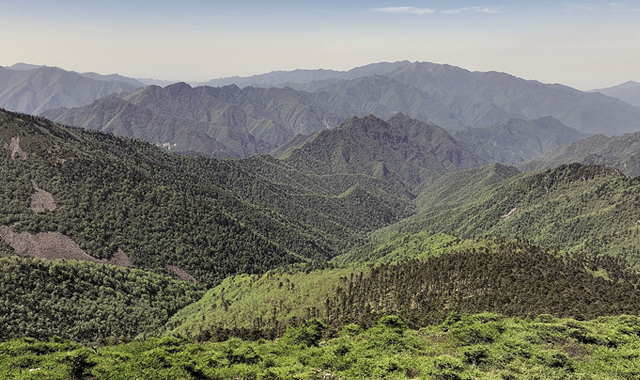 跨越山河 守護(hù)綠水青山