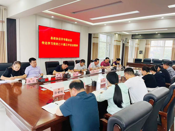 定边县政协召开专题会议 传达学习党的二十届三中全会精神