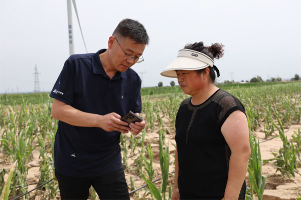 定边：政策性农业保险系牢助农“安全带”