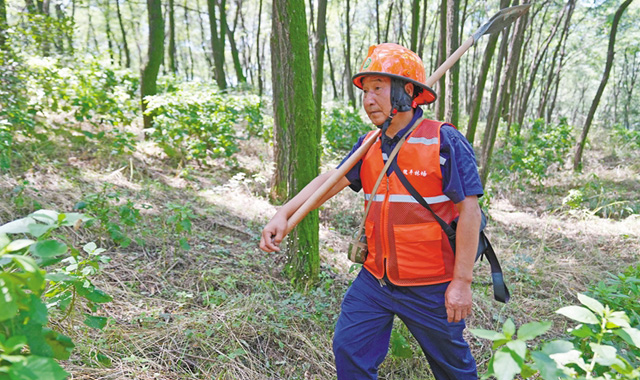 護(hù)林員李永康：堅守26載 守護(hù)一片綠