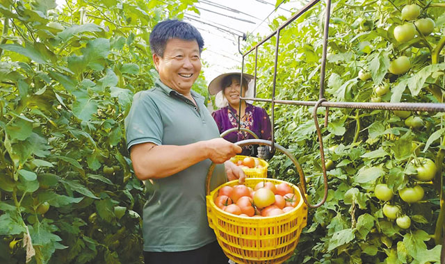 三原縣構建高素質農民培育體系，強化鄉村人才