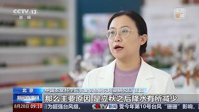 蔬菜价格开端回落