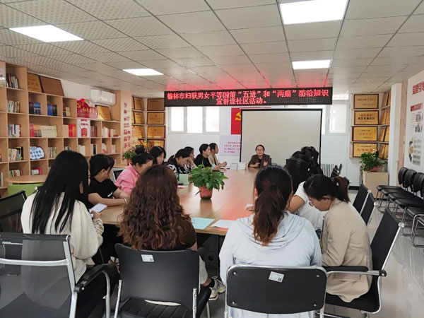 榆林市妇联开展男女平等基本国策宣讲暨“两癌”宣传进社区和进家庭活动