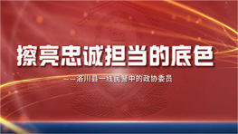 86号 洛川县政协 《不负人民重托》