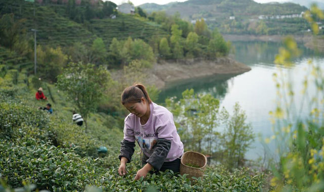 心中流過一泓清水 ——南水北調(diào)水源涵養(yǎng)地