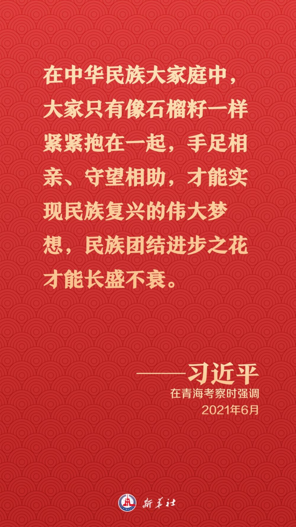 重溫習近平總書記關(guān)于民族團結(jié)的重要論述