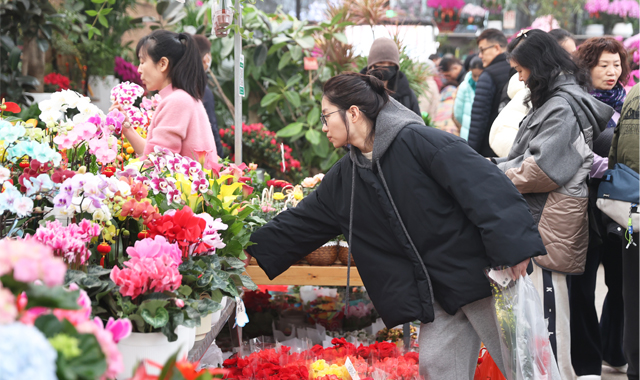 花潮涌動迎新春