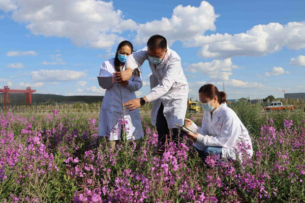 報效祖國 建功西部｜從“環(huán)境痛點”到“生態(tài)亮點” 西部生態(tài)“加減法”咋運算？