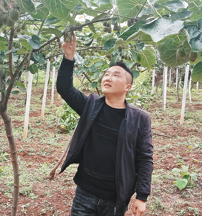 “讓鄉(xiāng)親們的日子像獼猴桃一樣甜”（報效祖國 建功西部）