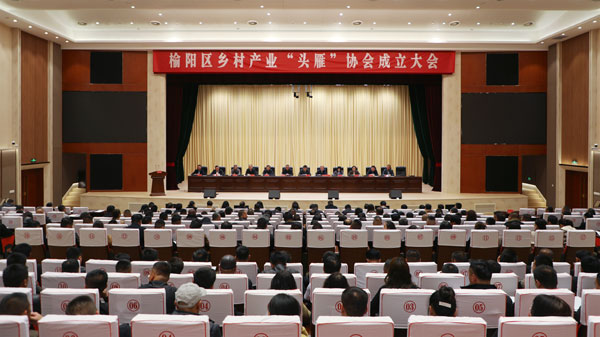 榆林市榆陽區(qū)鄉(xiāng)村產(chǎn)業(yè) “頭雁” 協(xié)會成立 助力鄉(xiāng)村振興邁向新階段