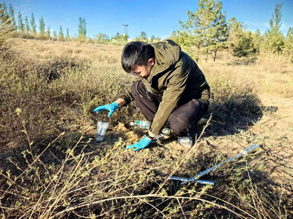 報(bào)效祖國 建功西部丨20多年青春接力——這群年輕人在荒漠構(gòu)筑“綠色長城”