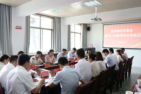 民進商洛市青年工作委員會召開第一次全體會議