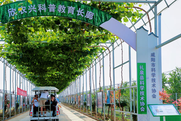 騎行禮泉 穿越盛唐：解鎖鄉(xiāng)村旅游新玩法