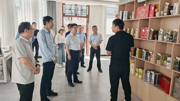 千陽縣政協：以提案辦理對口協商賦能全縣旅游產業發展