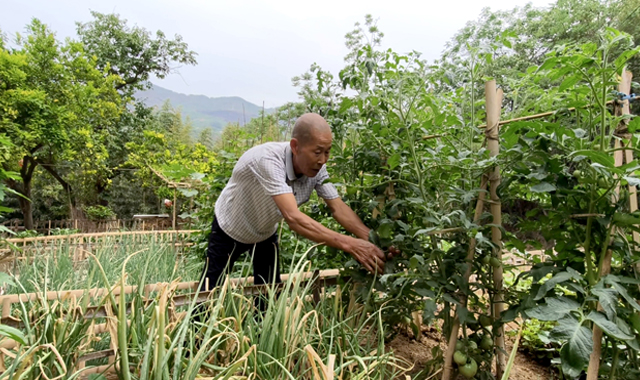 漢濱區(qū)早陽(yáng)鎮(zhèn)：七旬黨員“扮靚”小庭院，帶動(dòng)全