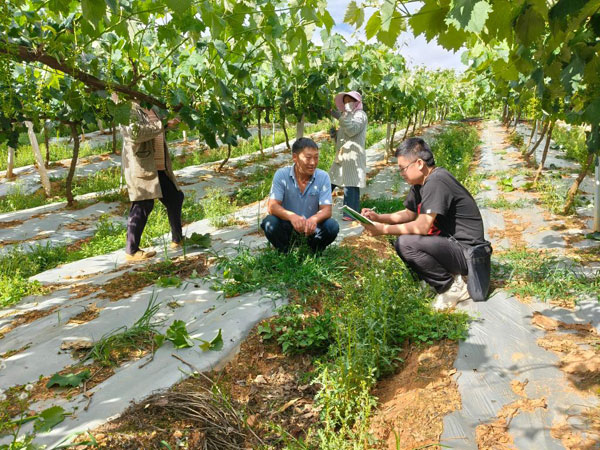 報效祖國 建功西部丨譚蔣峻：在基層沃土?xí)鴮懬啻捍鹁?/> </a> </div>
                <div   id=