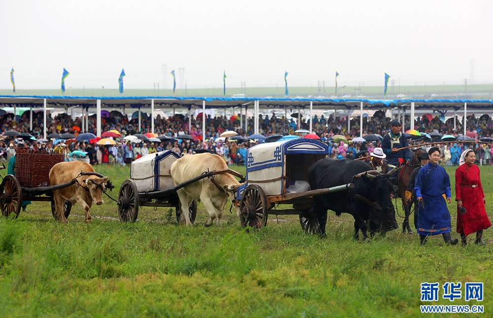 China Buzz: Step into Nadam and dance with the grasslands' heartbeat