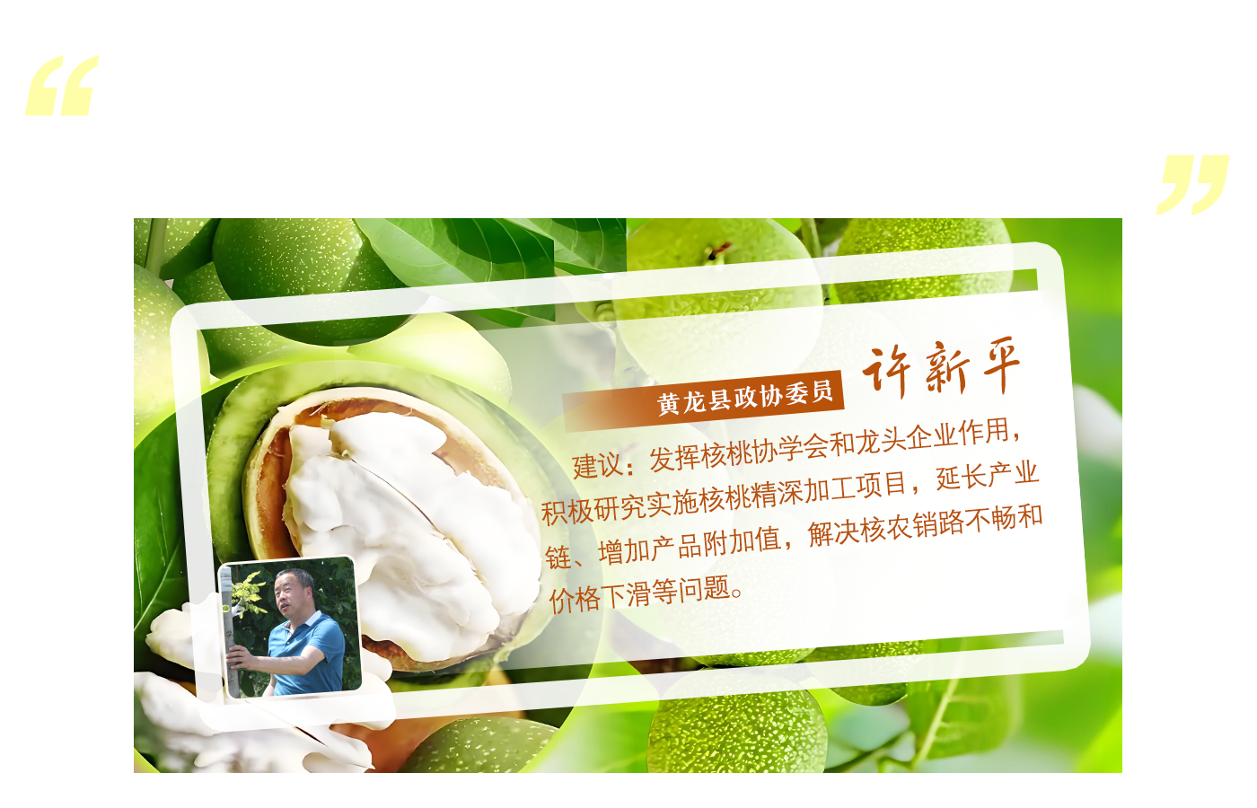 许新平