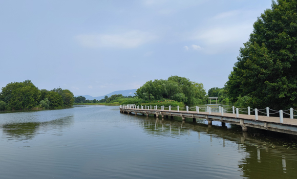 “秦岭四宝和它的朋友