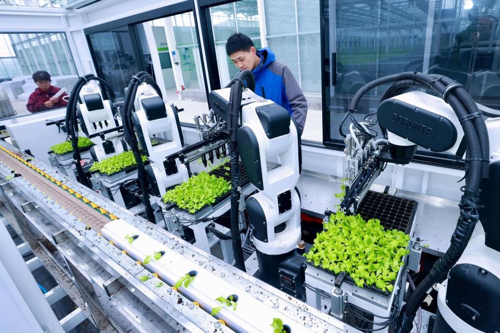 China's smart farms bring innovation to life