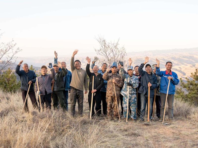 'Cliff afforestation team' in NW China's Shaanxi transforms barren cliffs