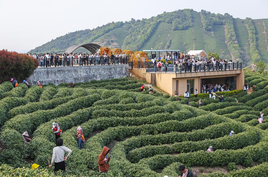 China's bubble tea boom brews rural growth, international presence