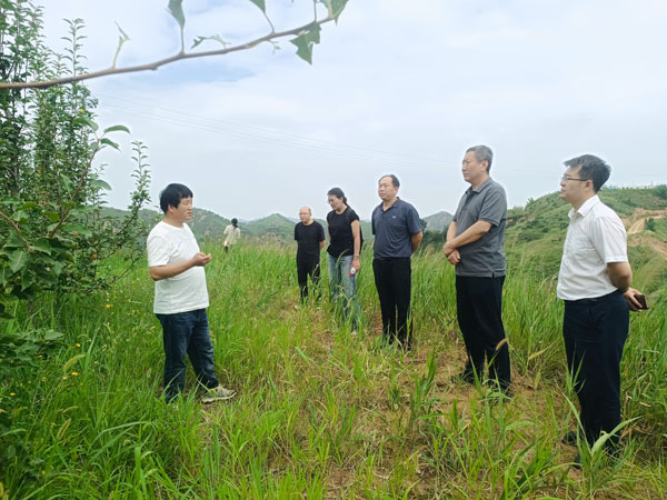 把“履職課堂”搬到田間地頭——綏德縣政協(xié)第三十六期“委員大講堂”開講