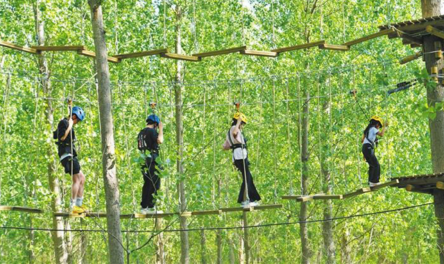 巧打生態(tài)牌 林間筑樂園——西安市長安郭杜