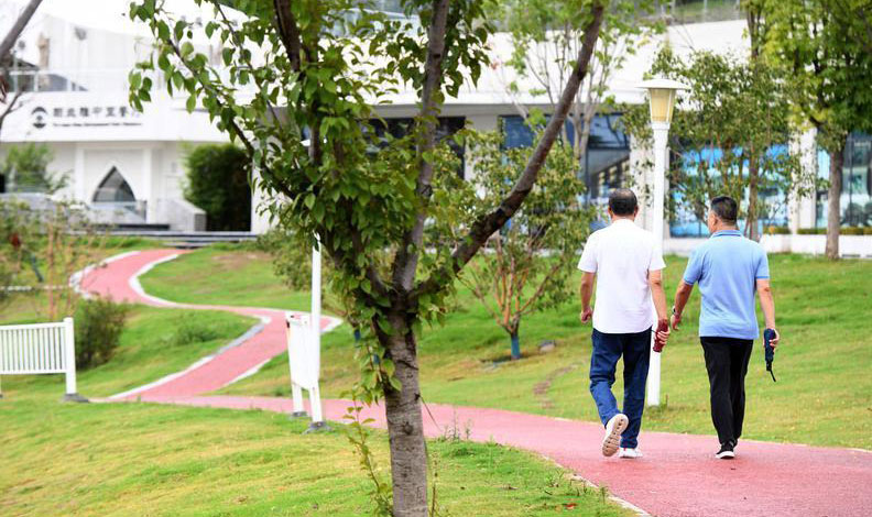 秋涼雨霽 公園漫步正當(dāng)時