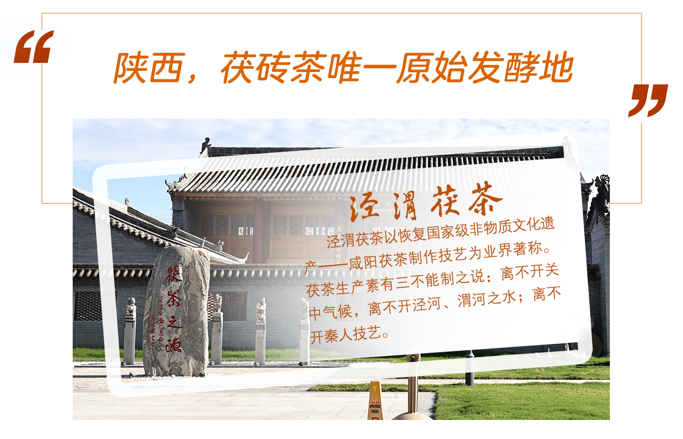 陜西，茯磚茶唯一原始發(fā)酵地
