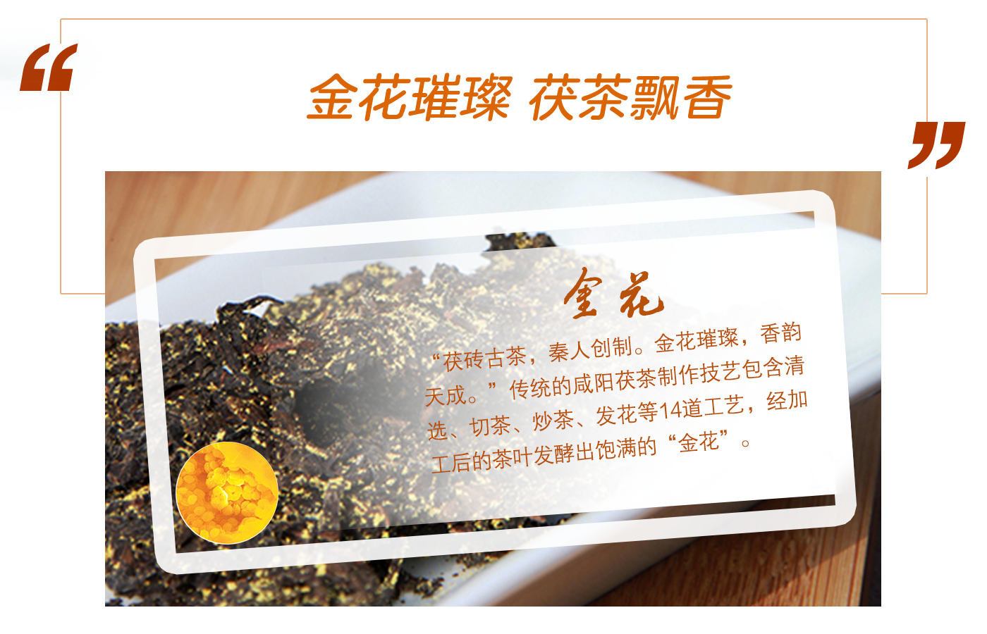 金花璀璨 茯茶飄香