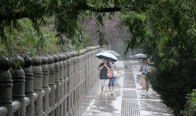 煙雨朦朧曲江池
