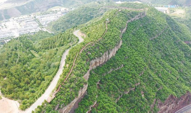 石頭山長出“希望樹”