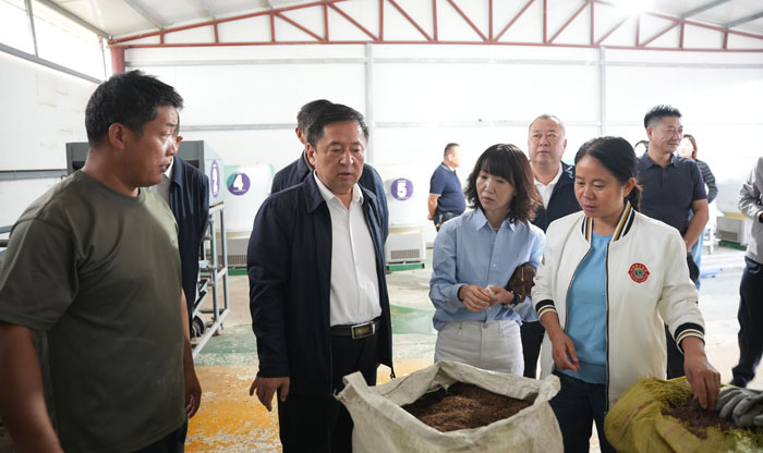 凝心聚力惠民生 实干担当显作为——咸阳市政协开展“服务为民”活动小记