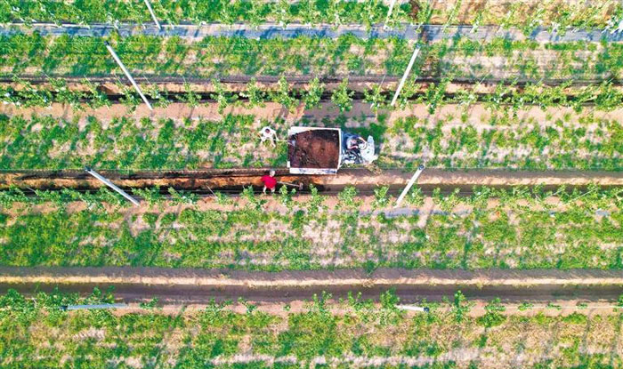 242個(gè)產(chǎn)業(yè)園托起600億大產(chǎn)業(yè)——渭南現(xiàn)代農(nóng)業(yè)產(chǎn)業(yè)園發(fā)展觀察