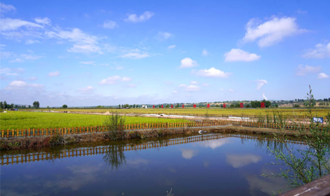 橫山區(qū)：稻蟹共生 繪就鄉(xiāng)村振興美好畫(huà)卷