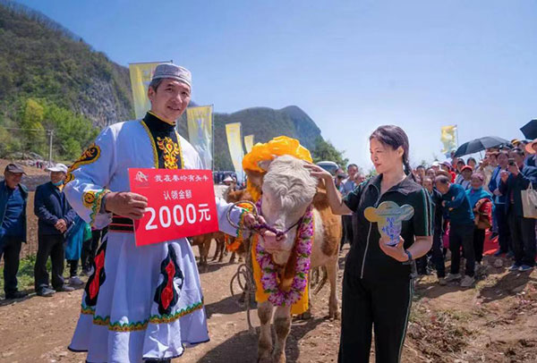 民心為基 產(chǎn)業(yè)為柱  鎮(zhèn)安同心共繪民族團結(jié)