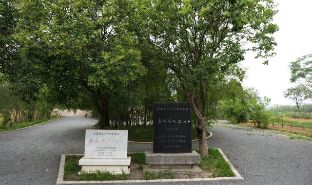文明探源｜秦咸陽城遺址：咸陽宮闕今何在 探尋